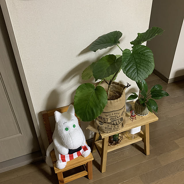 JUNさんの実例写真