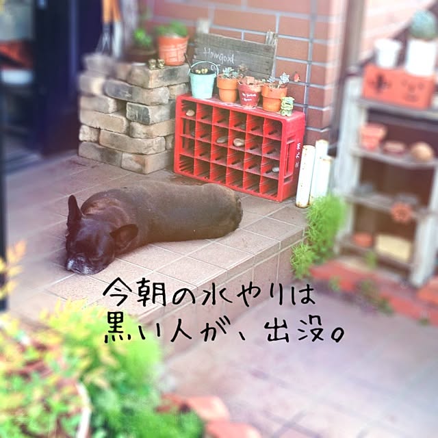 38coreさんの実例写真