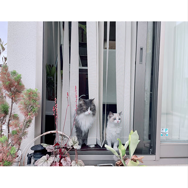 emさんの実例写真