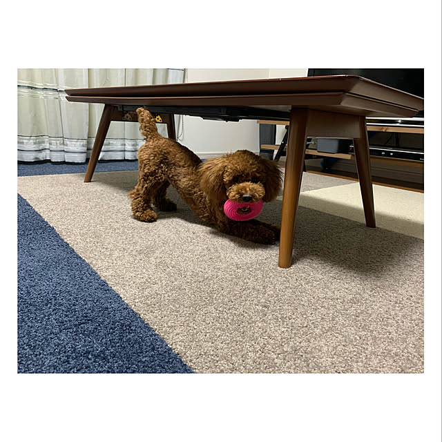 MKさんの実例写真
