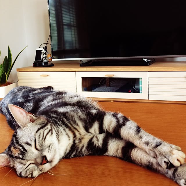 Hirahiraさんの実例写真