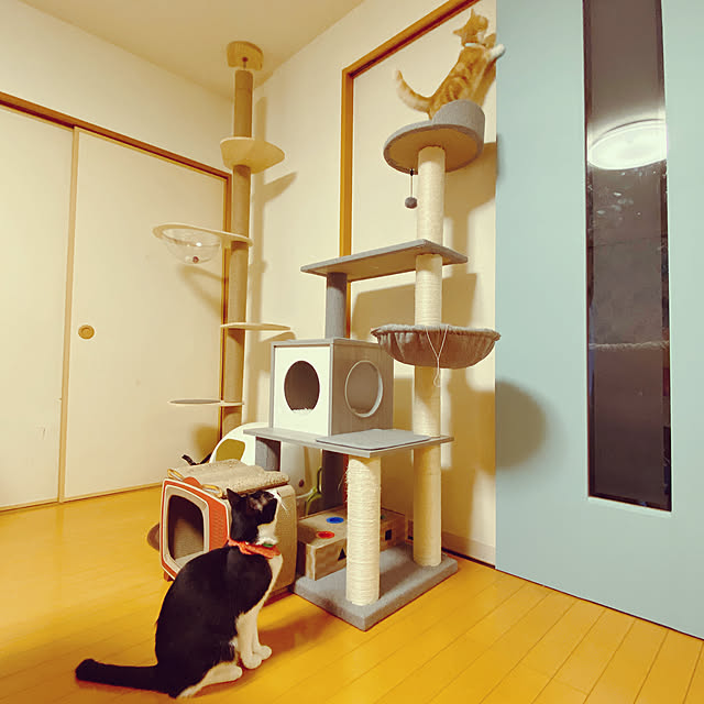 moolさんの実例写真