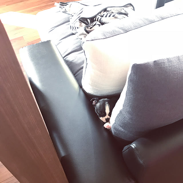 Megugu0512さんの実例写真
