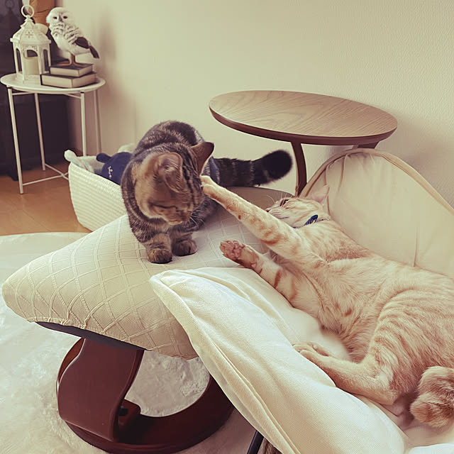 chiiさんの実例写真