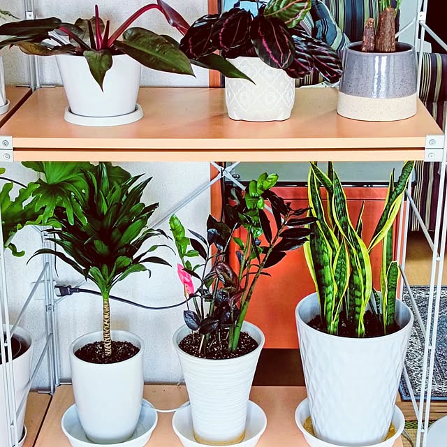 hanachanさんの実例写真