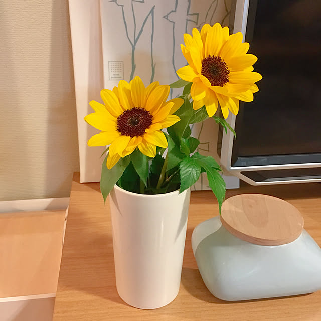 anさんの実例写真