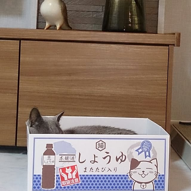 rupapan30さんの実例写真