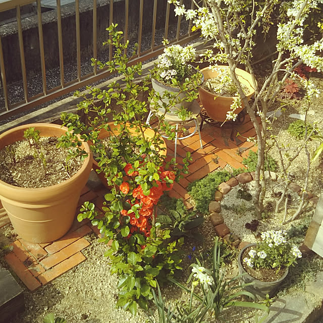 chikohiroさんの実例写真