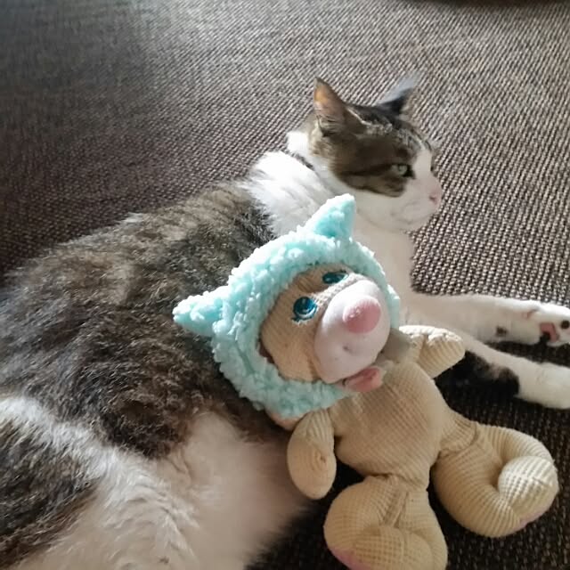 Anmituさんの実例写真