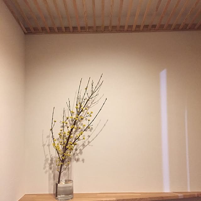 mameさんの実例写真