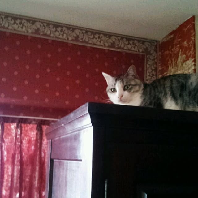 emmyyさんの実例写真