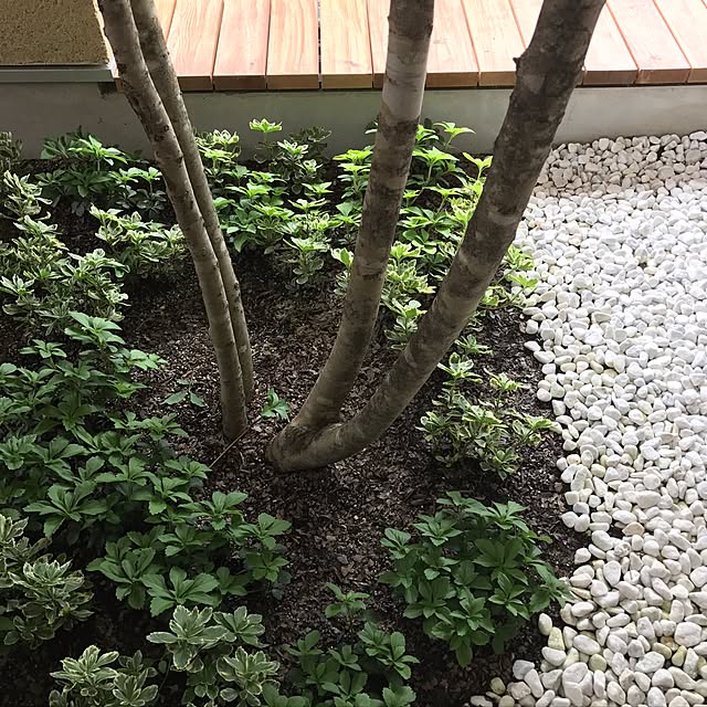 misaeeeさんの実例写真
