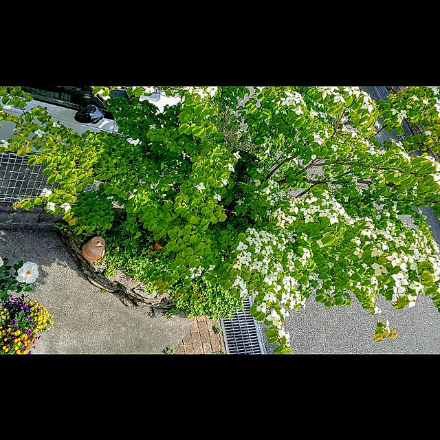 JUDYさんの実例写真