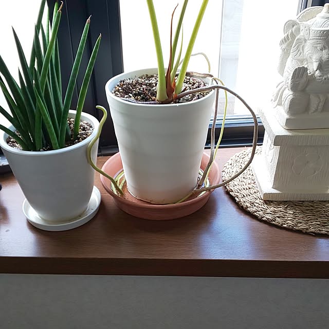 yumiyumiさんの部屋