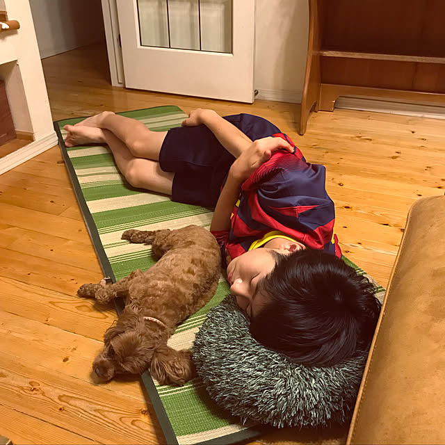 RUBYさんの実例写真