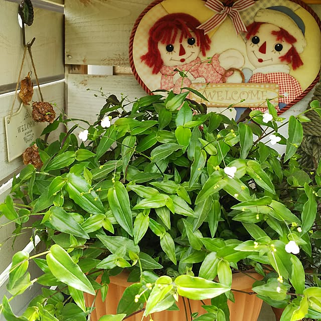 mmpoohさんの実例写真
