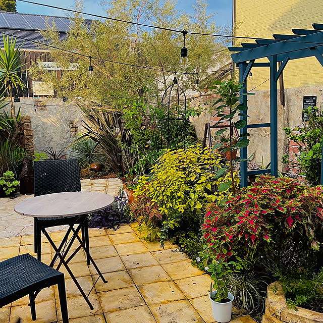 noppe326さんの実例写真