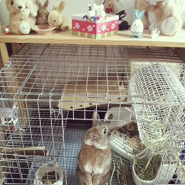 yuzu0223さんの実例写真