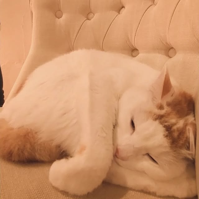 kiyosukeさんの部屋
