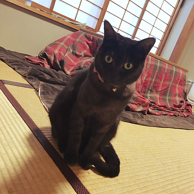 tommysobacさんの実例写真