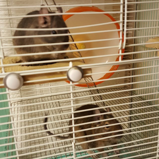peryryさんの実例写真