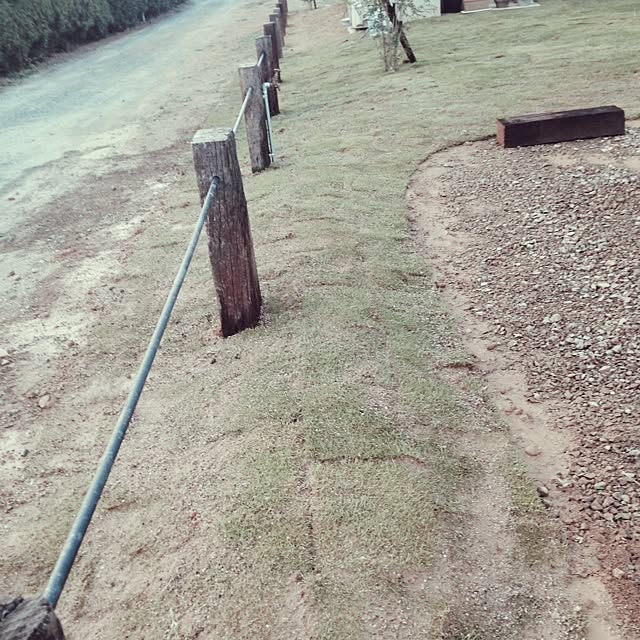 gumiさんの実例写真