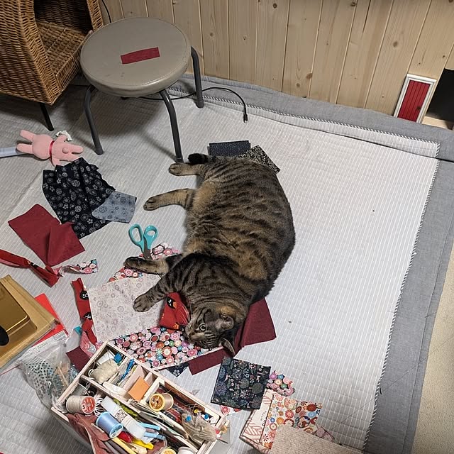 mori_6_12さんの実例写真
