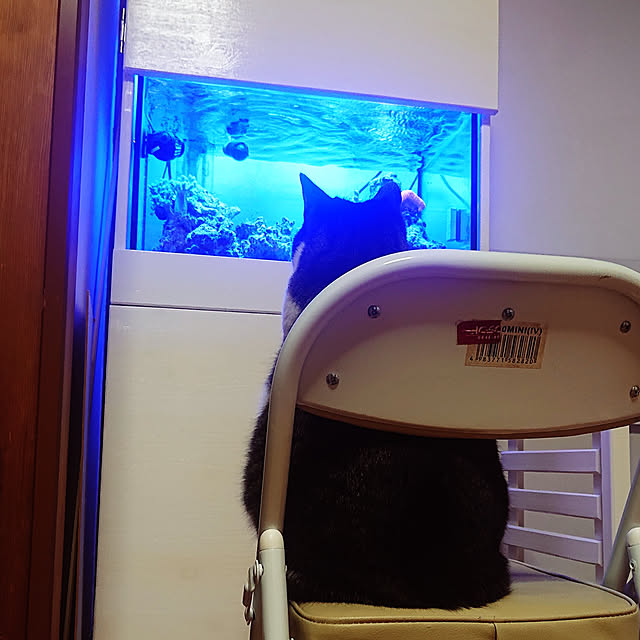 e-mailさんの実例写真