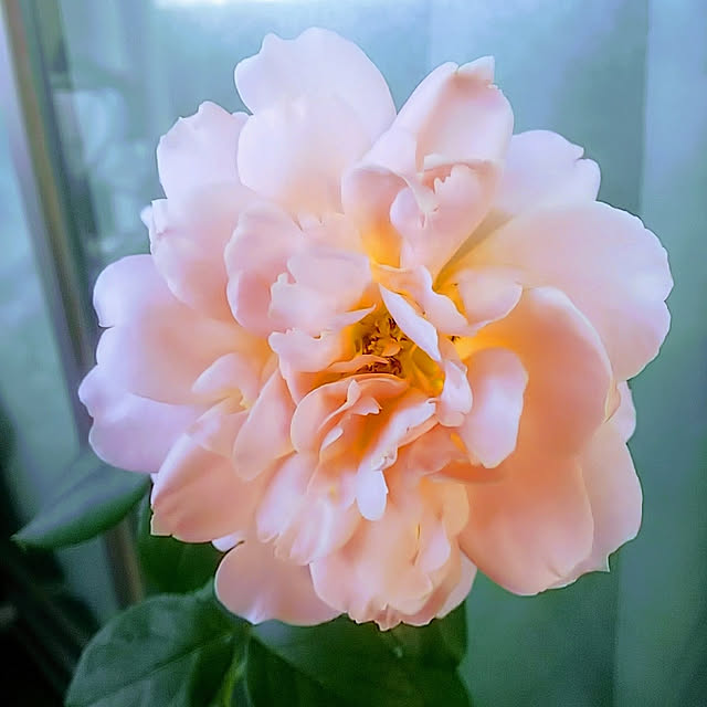hiromimiさんの実例写真