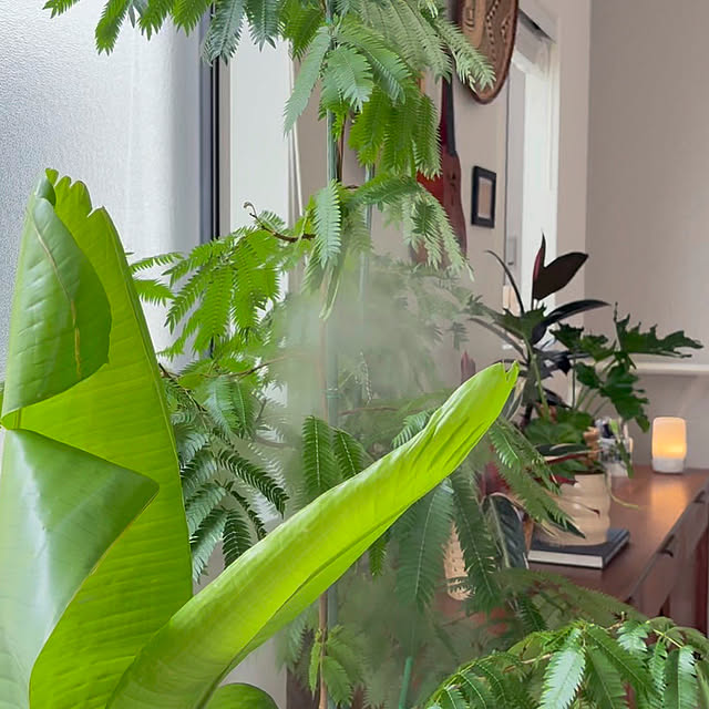 ck202さんの実例写真