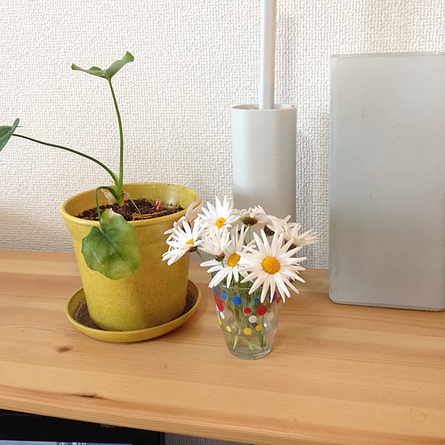 momomoさんの実例写真