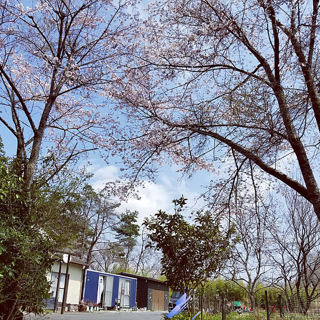 hatakazuさんの実例写真