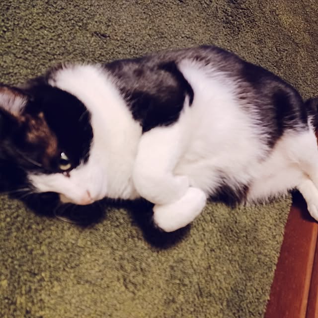 anzuさんの実例写真