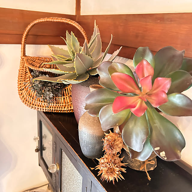 akaidarumaさんの実例写真