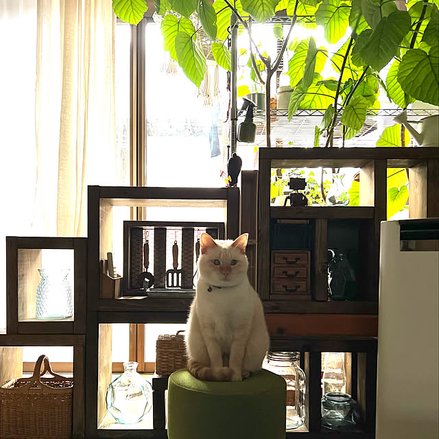 mohhaさんの実例写真