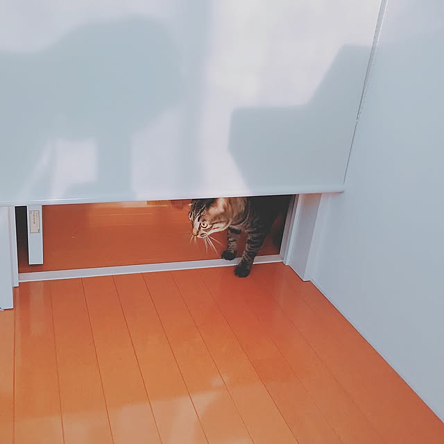 nyan.73さんの実例写真