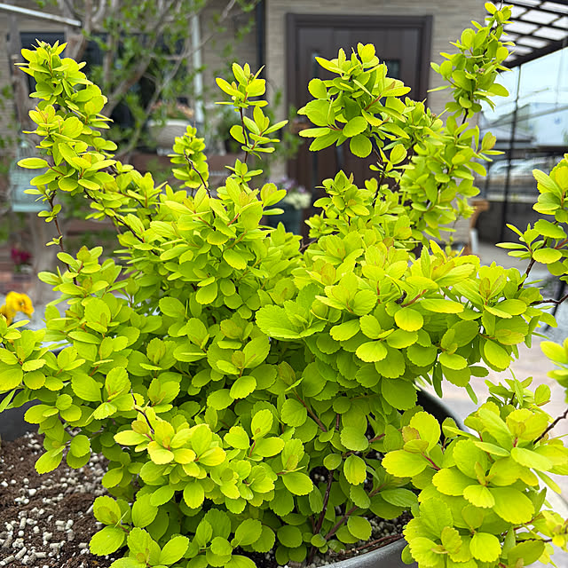 ronronさんの実例写真