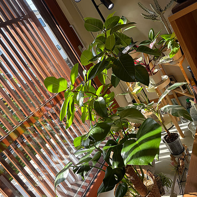 pranksterさんの実例写真