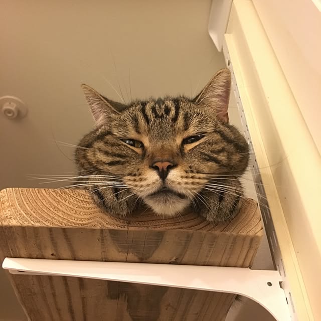 mikomaruさんの実例写真