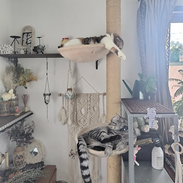 hiro3さんの部屋