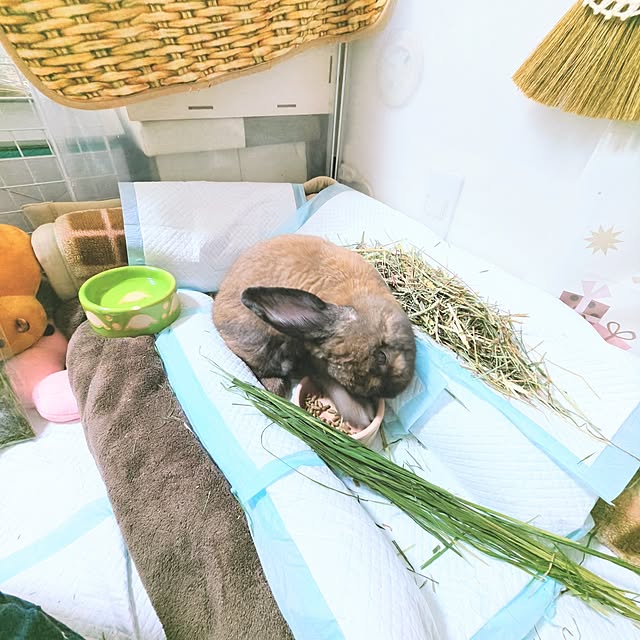 mariaさんの実例写真