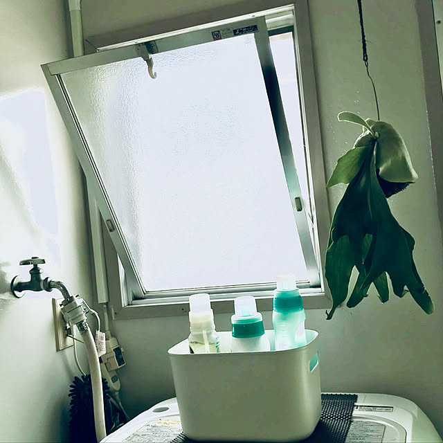 mayurikaさんの実例写真