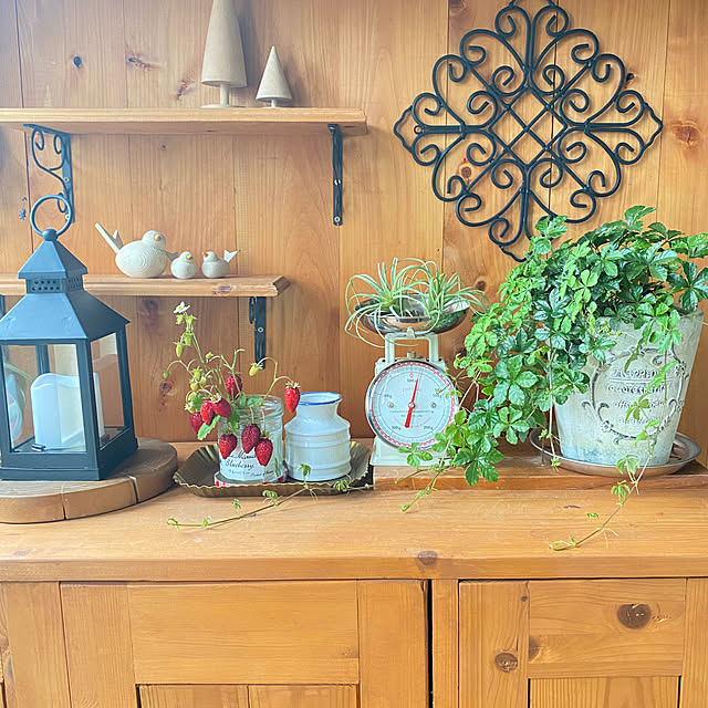 mintteaさんの部屋