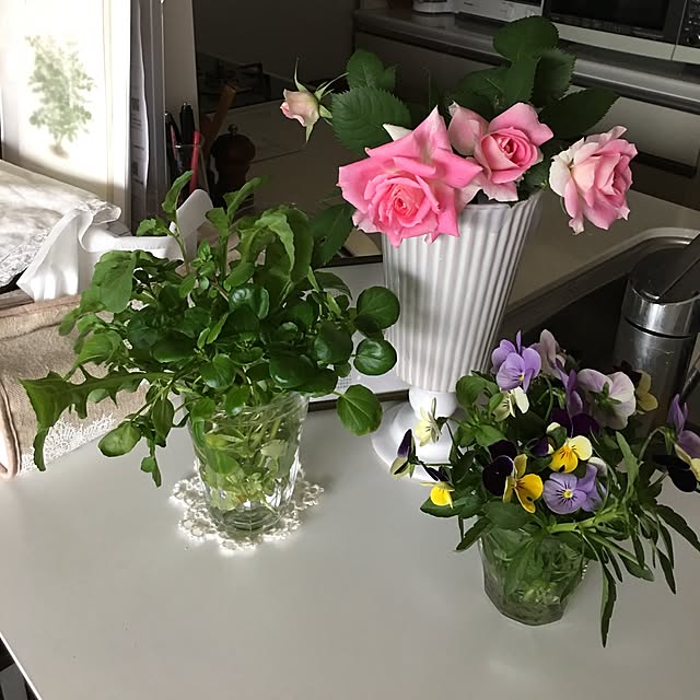 Midoさんの実例写真