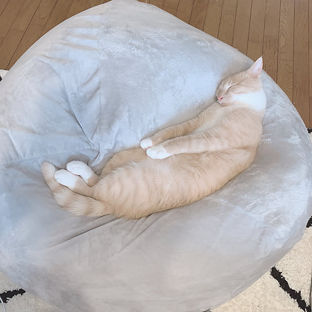 Tomoeさんの実例写真
