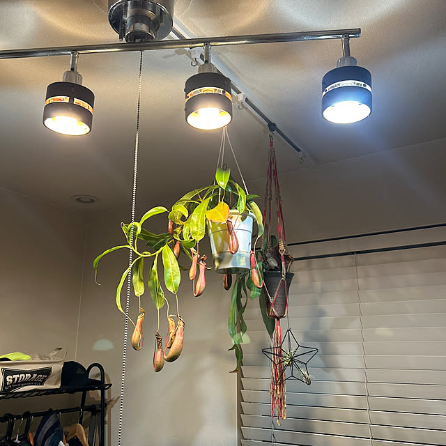 megmagさんの実例写真