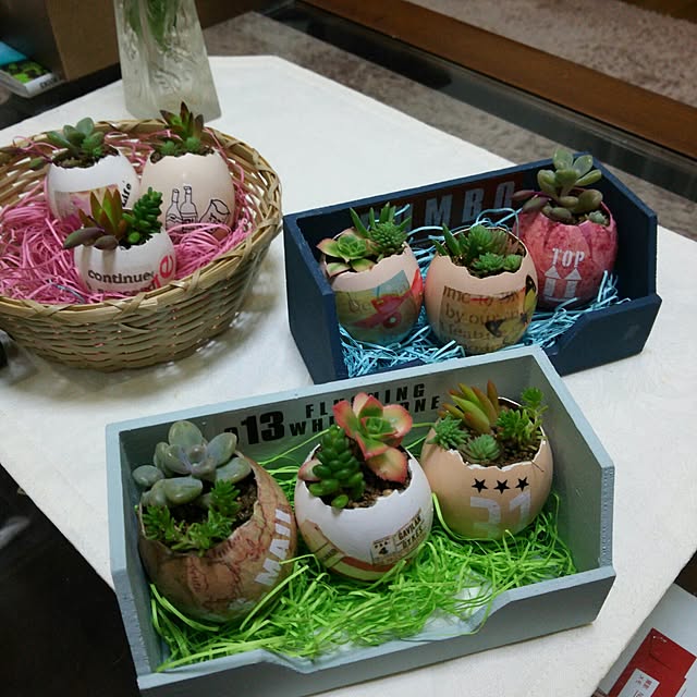 yasueさんの実例写真