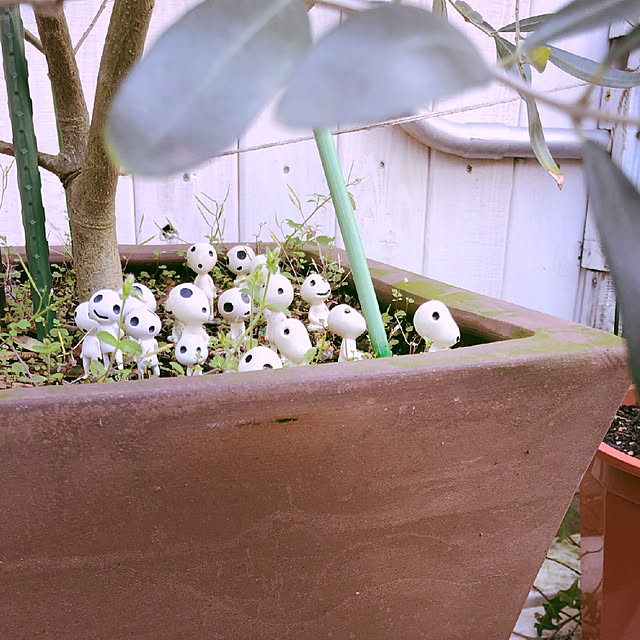 oozorataiga1さんの実例写真