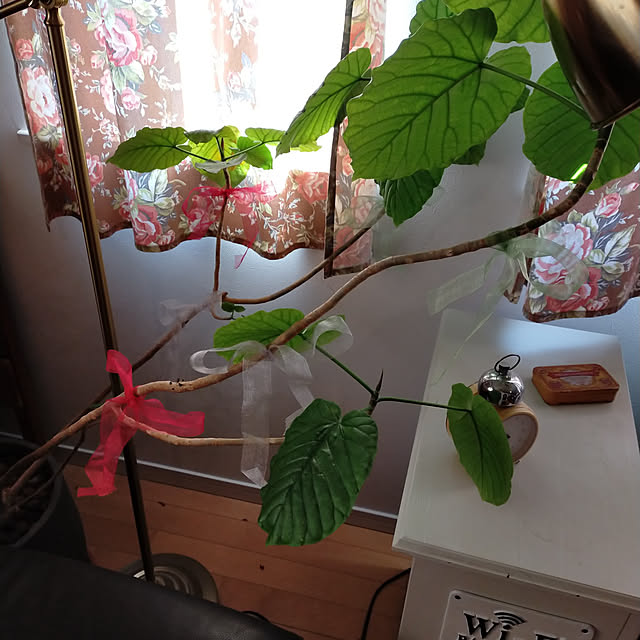 tamachan235さんの実例写真