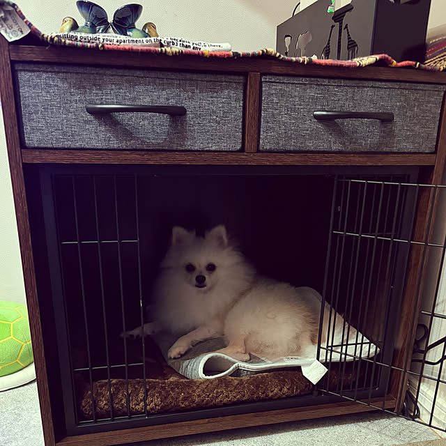 uninekoさんの部屋